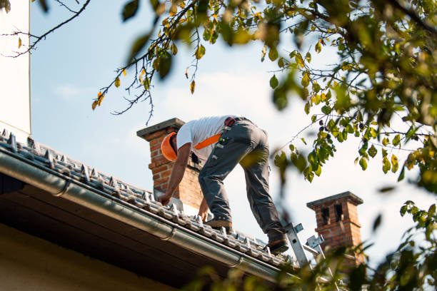 Best Residential Roofing Contractor  in Hallsville, MO