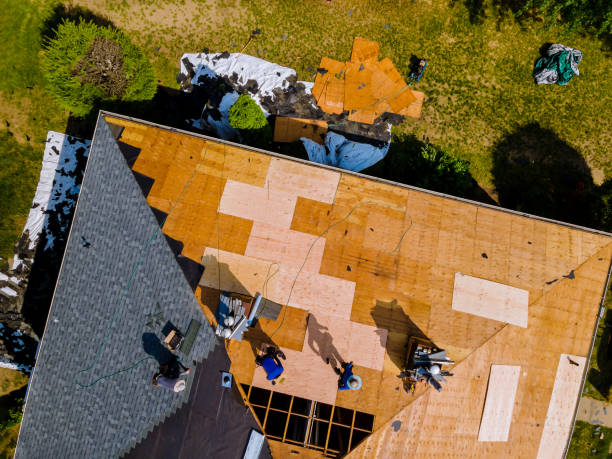 Best Best Roofing Contractors  in Hallsville, MO