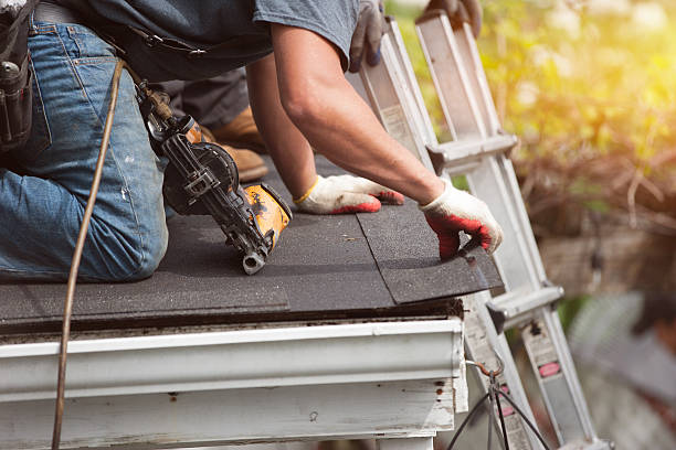 Best Roof Waterproofing Services  in Hallsville, MO