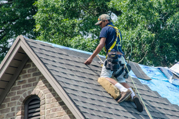 Best Roofing Contractor Near Me  in Hallsville, MO