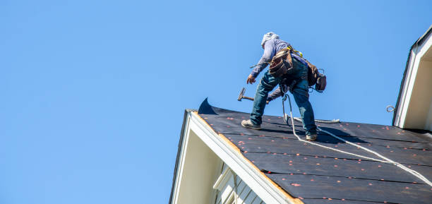 Best Roof Maintenance Services  in Hallsville, MO